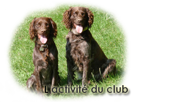 Découvrez le planning de l'éducation canine du dimanche matin au club canin montcellien